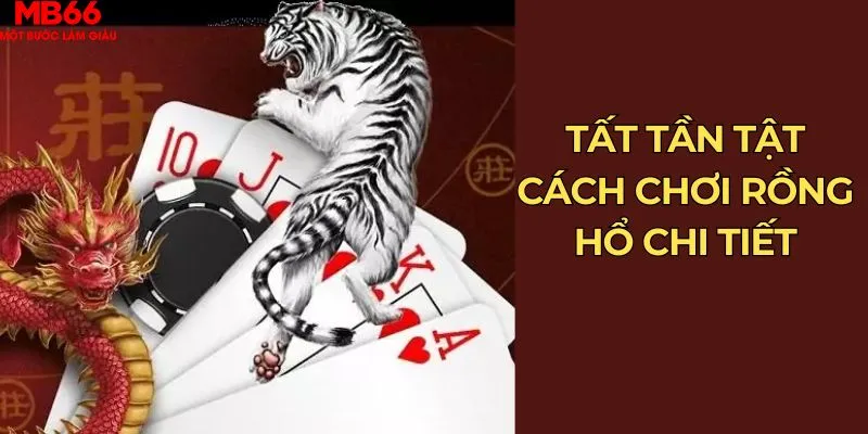 Tất tần tật cách chơi rồng hổ chi tiết